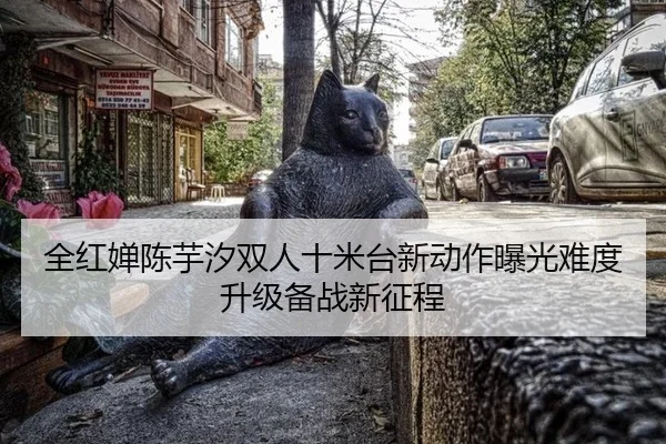 全红婵陈芋汐双人十米台新动作曝光难度升级备战新征程